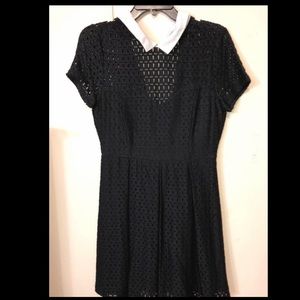 Black collared dress